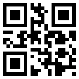 Bolt.new网页版