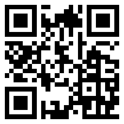 Interview Solver网页版