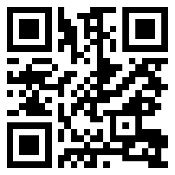 Qodo网页版
