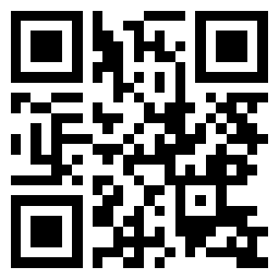 公安政务服务网页版